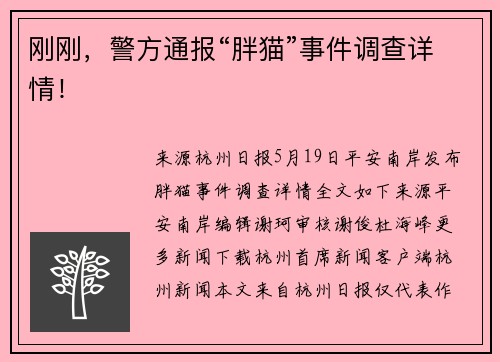 刚刚，警方通报“胖猫”事件调查详情！