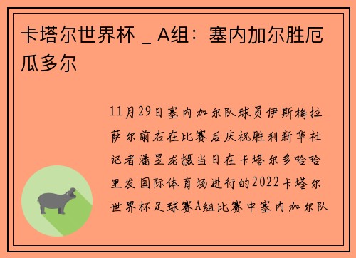 卡塔尔世界杯 _ A组：塞内加尔胜厄瓜多尔
